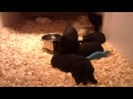 video-2011-09-13-21-06-00