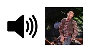Wilhelm Scream - Sound Effect Prosounds