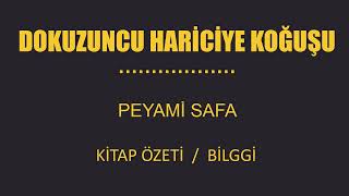 Dokuzuncu Hariciye Koğuşu Özeti Peyami Safa