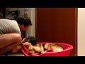 pastore 動画19c