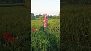 ल रह यह पर Vijay Bitoli Jaunpuriya Shorts