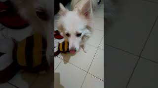 Poochho Jara Poochho