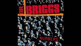 Watch Briggs 13197 video
