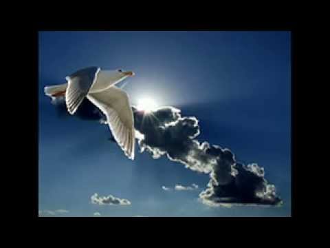 First Time Mother's Joy (Flying) Video