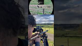 The Silent In .22Lr Crow Hunting With Subsonics Dnt Thermnight 335R