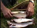Fly Fishing Trout Montana Lakes 2