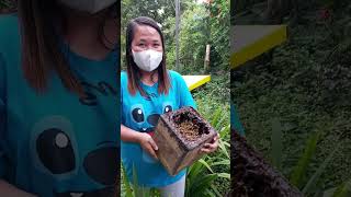 Bee Kiyot Dion Gonzales