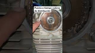 Como Poner En Tiempo Cadena De Distribución