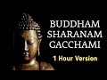 Buddham Sharanam Gacchami | 1 Hour Version | Sounds of Isha | Guruvin Madiyil