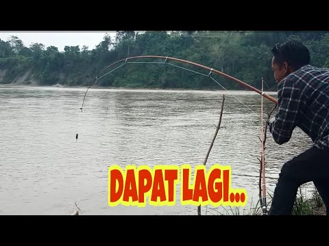 Mancing Ikan Nila dikali Kecil dan Mancing Ikan Tawes Di Air Keruh Dapat Besar