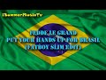 Put Your Hands Up For Brasil Video preview