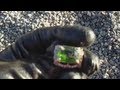 Early Morning Alaska Metal Detecting - Valley Of The Moon Park & Frontierland Park - Anchorage