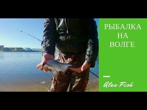 ловля сома ночью на фидеры ловля сома ночью на фидеры