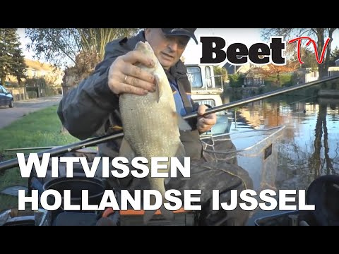 witvis klaarmaken