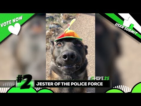The Top User Submitted Videos Of Week 14 The Top User Submitted Videos Of Week 14