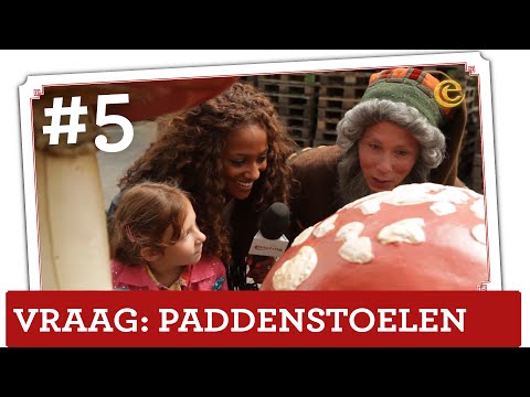 hoe lang blijft eten in je maag