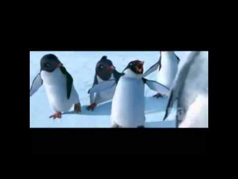 varan varan poochandi tamil song