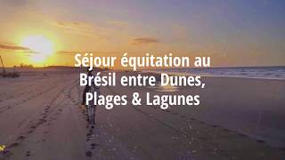 équitation