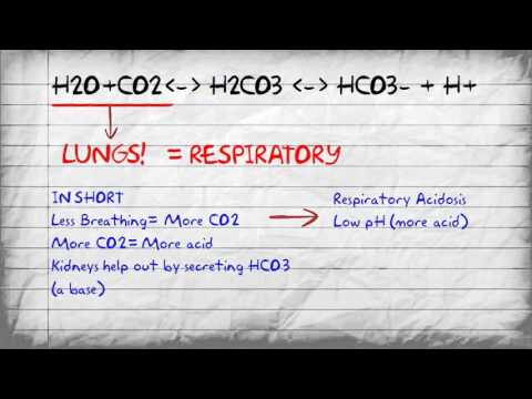 Bicarbonate Buffer System and pH Imbalances - YouTube