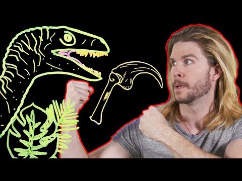 How to Fight a Velociraptor (and Win)