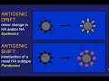 Dr. Kristien Van Reeth - Swine Influenza - Recent Developments