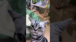 Part 25