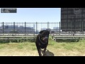 GTA 5 - Play as a Random Animal (Dog, Cat, Cow, Boar, Rabbit, Deer & more) [PS4 & Xbox One]