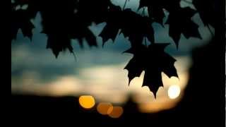 River Flows In You Orchestral Version River Flows In You Orchestral Version