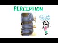 What Colour Is This Dress? (SOLVED with SCIENCE)
