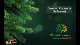 Bahodir Hoshimov - Beboshim
