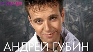 АНДРЕЙ ГУБИН - TOP 20 - Лучшие песни