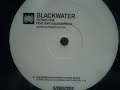 Octave One feat. Ann Saunderson - Blackwater (Kevin Saunderson String Instrumental)