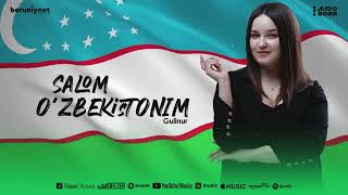 Gulinur - Salom O'zbekistonim (Audio 2022)