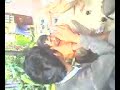 Bokep Anak Kampung images Bokep Anak Kampung