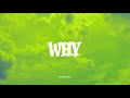 Why Video preview