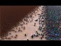 10.000 JEDI vs 40.000 SPARTANS - Ultimate Epic Battle Simulator 10.000 JEDI vs 40.000 SPARTANS - Ultimate Epic Battle Simulator