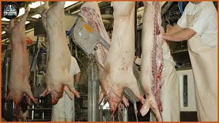 How Does A Pig Slaughterhouse In The Uk Work ? - Pig Processing Farming Doentary