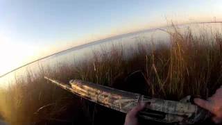 Duck Hunting