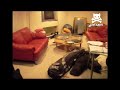 Crazy canine bounces of the couches