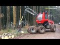 6 Most Satisfying Modern Forestry Machines and Technology Tools That Are At Another Level ▶9
