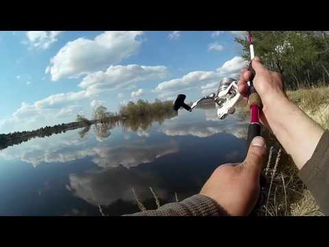 ловля на спиннинг на днепре с берега ловля на спиннинг на днепре с берега