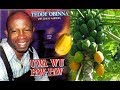 Teddy Obinna - Uwa Wu Paw Paw - Nigerian Highlife Music