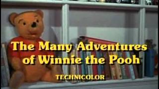 Watch Winnie The Pooh Rumbly In My Tumbly video