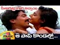 Seetharatnam Gari Abbayi Telugu Movie Songs | Aa Paapi Kondallo Full Video Song | Roja | Vinod Kumar