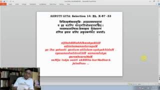 Shruti Gita - 05 by Prof V Krishnamurthy