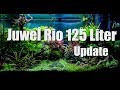 Juwel Rio 125 Liter Aquascape / Update
