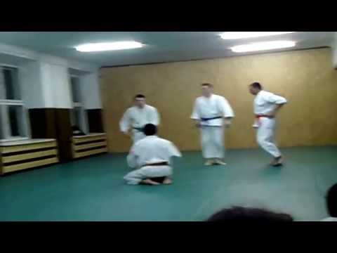 2010 Egzaminy AikidoWarszawapl