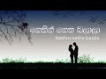 Nethin netha balala | නෙතින් නෙත බලාලා | Lyrics | Cover