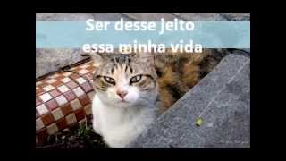 Aprendizado - Poema Por Valdyce Ribeiro