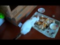 昼のニュース.wmv